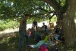 Schafschur-Event am Malchener Blütenhang