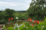 Besuch im Wühlmausgarten
