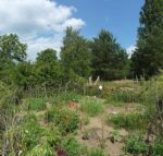 Nächste Gruppenstunde der Füchse