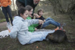 Die Feuersalamander bei Nutria und Wildsau