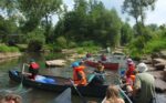 Paddeltour durch die Urwälder am Rhein