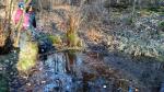 Krötenretter am Eleonorenbrunen in Traisa