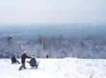 Winter am Blütenhang