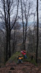 Die Feuersalamander in der Heyer-Hütte