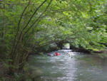 Paddeltour auf dem Taubergiessen - Tag 1