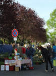 Wühlmausstand auf dem Pflanzenflohmarkt