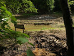 Pflanztag an den Etzwiesen