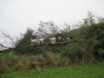 Baumfäller im Einsatz am Mittelbachteich