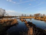 Der Januar in der Landbachaue