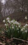Amphibienwanderung hat begonnen