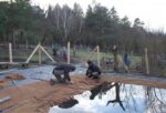 Teich im Wühlmausgarten